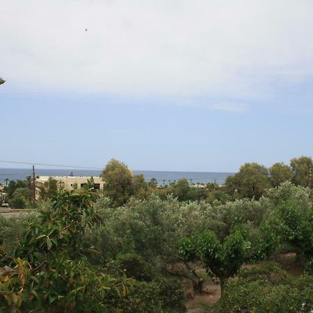 אדליאנוס קומפוס Romantic Apartment מראה חיצוני תמונה